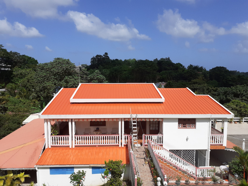 démoussage de toiture la réunion