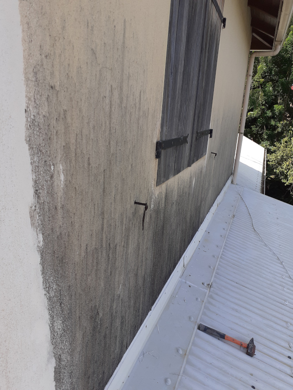 démoussage façade avant
